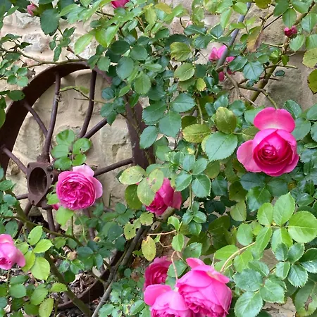 Il Nascondiglio - The Hideaway Апарт-отель 3*